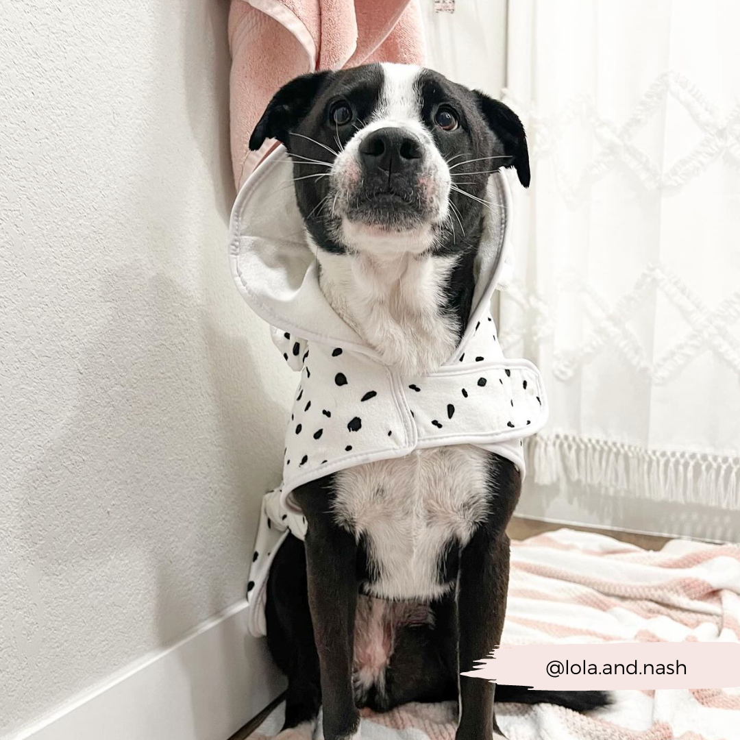 Peignoir de séchage dalmatien