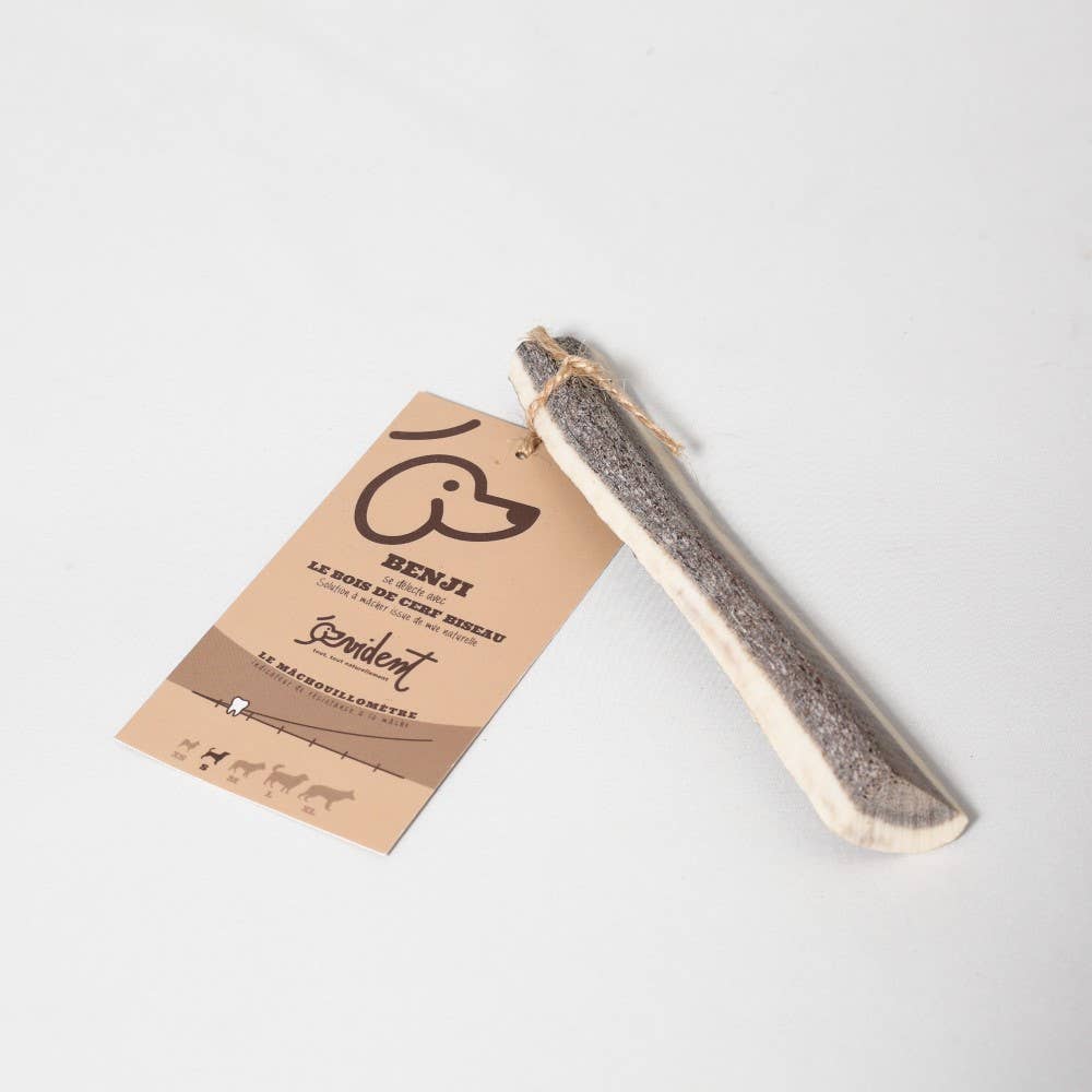 Bois de Cerf Biseau BENJI