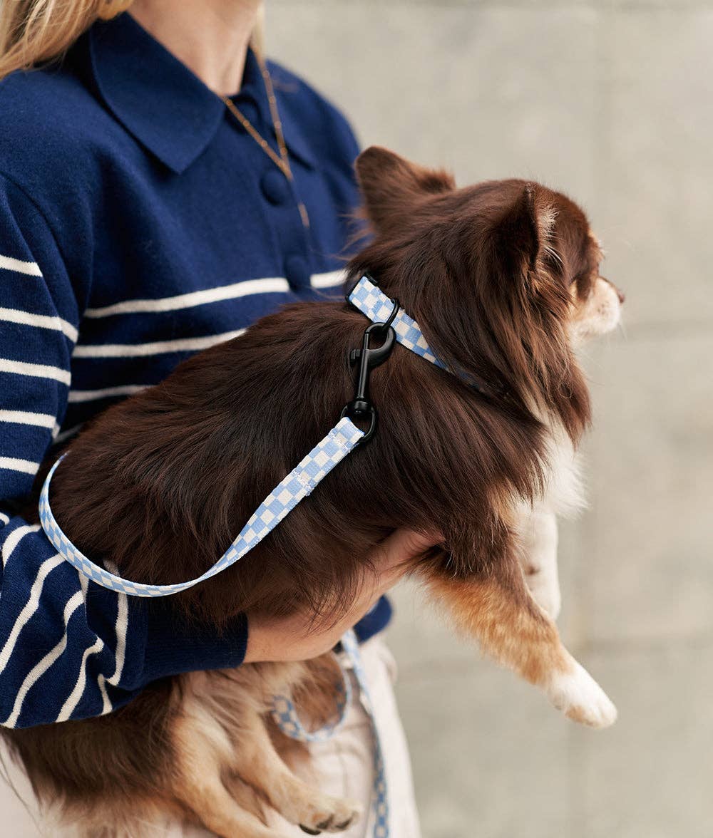 Collier pour Chien CAFIDE Carreaux Bleu