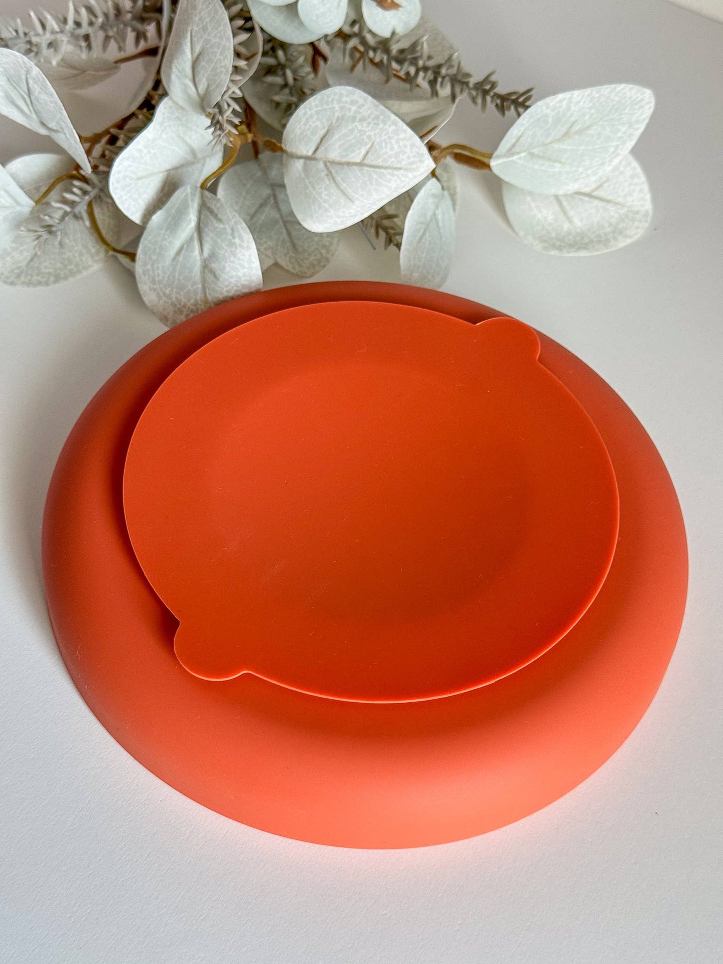 Tapis de léchage arc en ciel