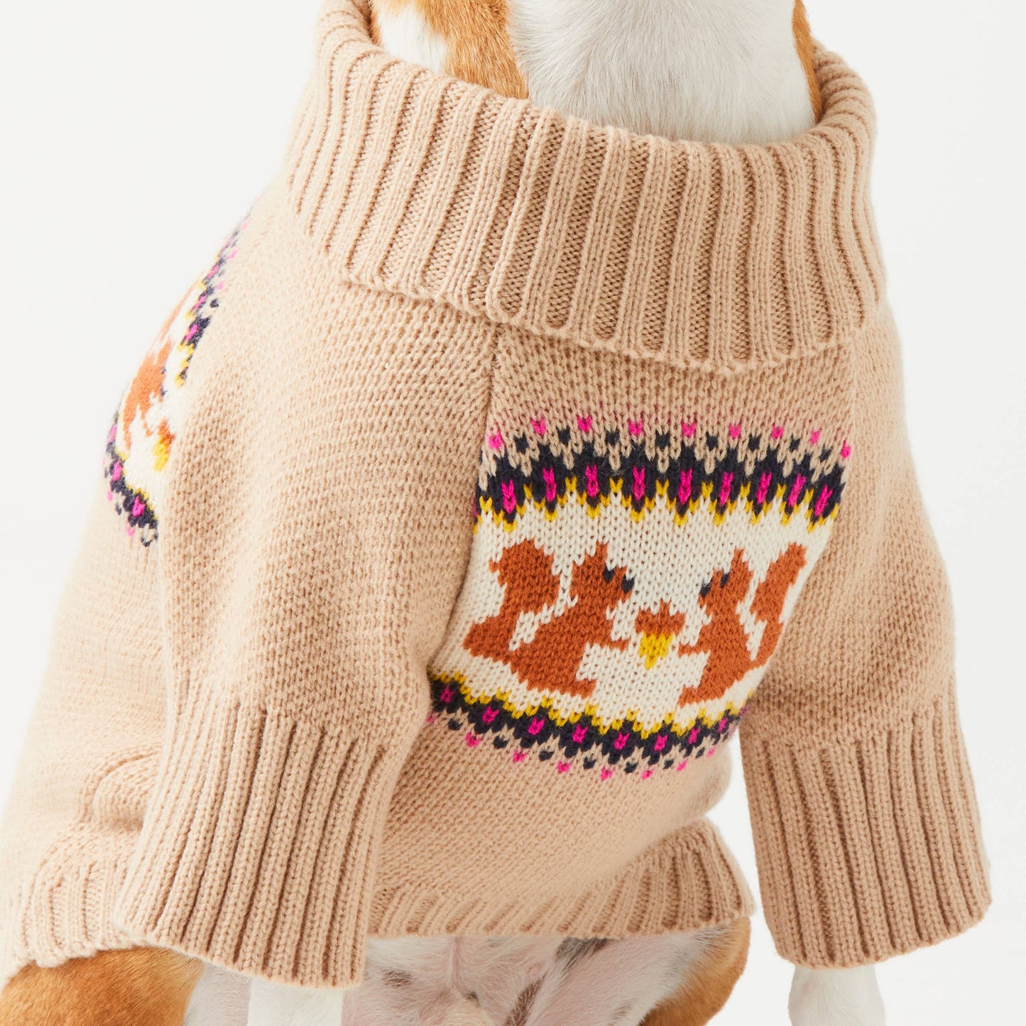 Pull tricoté pour chien avec motif écureuil