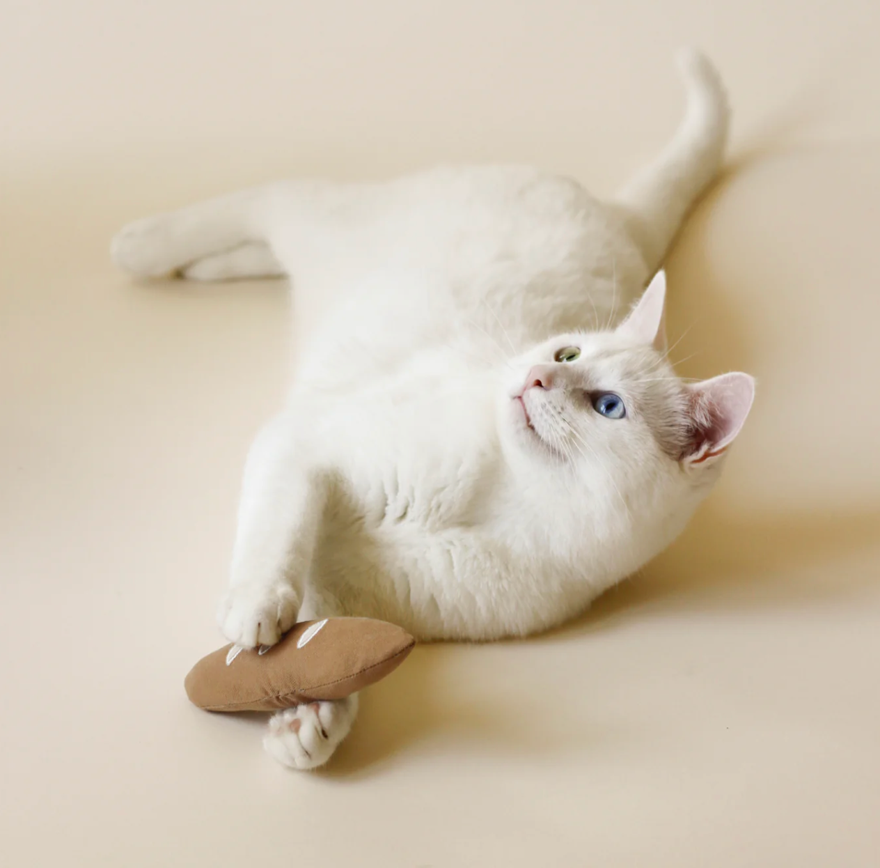 Jouet à l'Herbe à Chat baguette