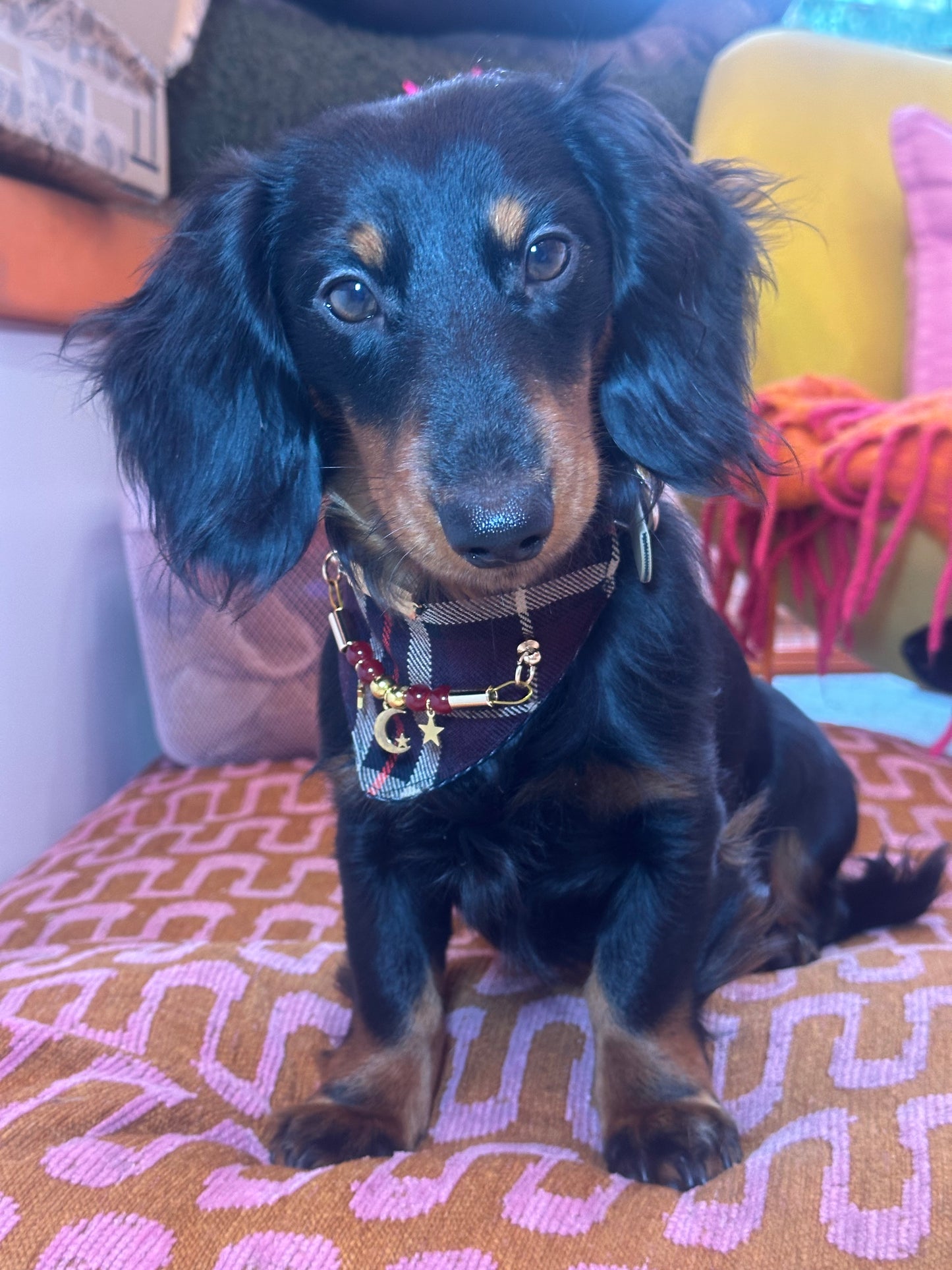 Bandana-Collier Tartan Bijou