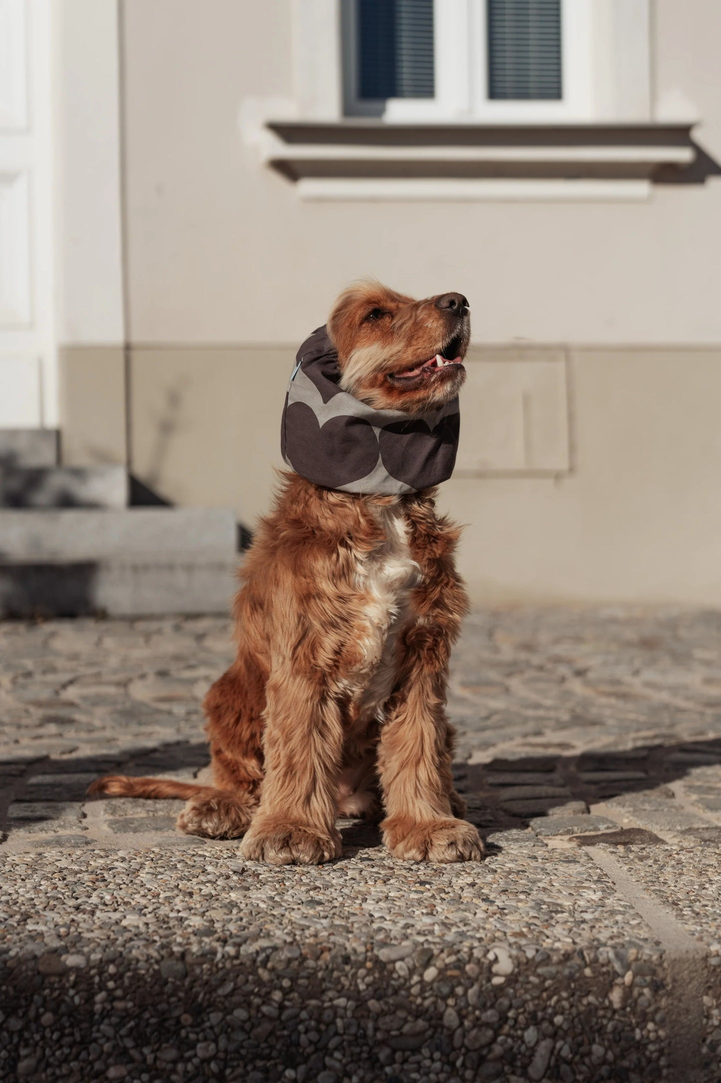 Snood en coton
