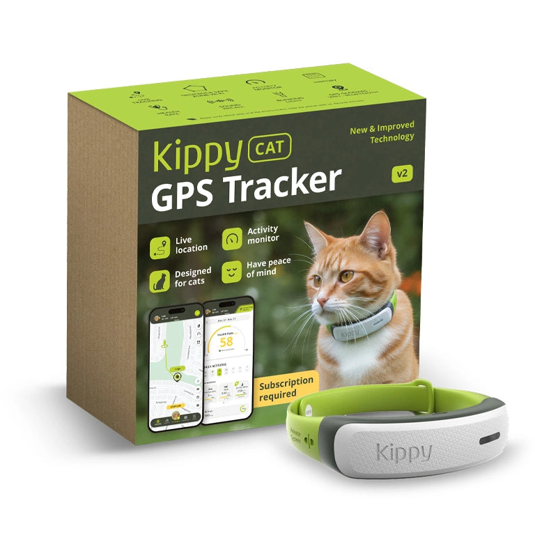 GPS Chat KippyCat