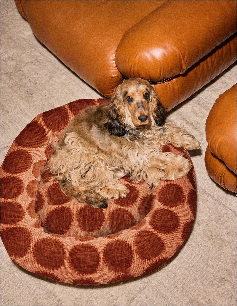 Panier rond à pois pour chien