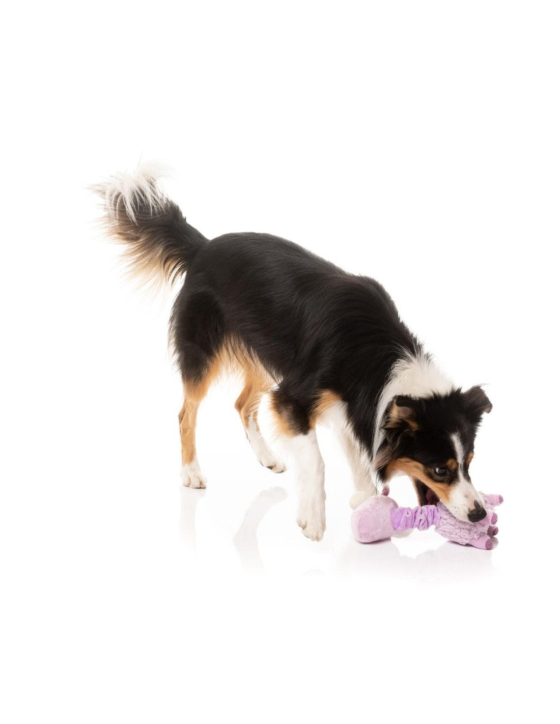 Peluche lama