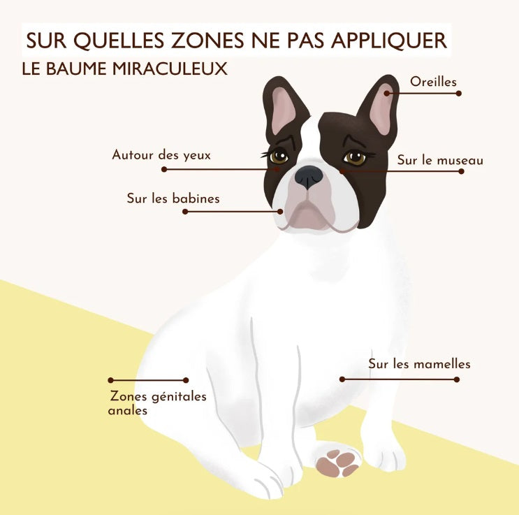 Baume anti démangeaison pour chien : Le Miraculeux