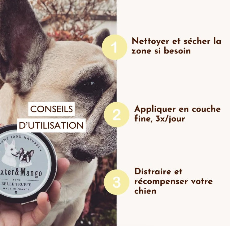 Baume truffe chien : Belle truffe