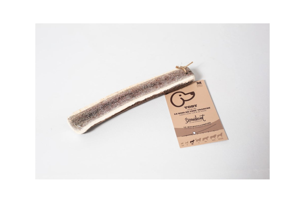 Bois de Cerf Tranché TOBY