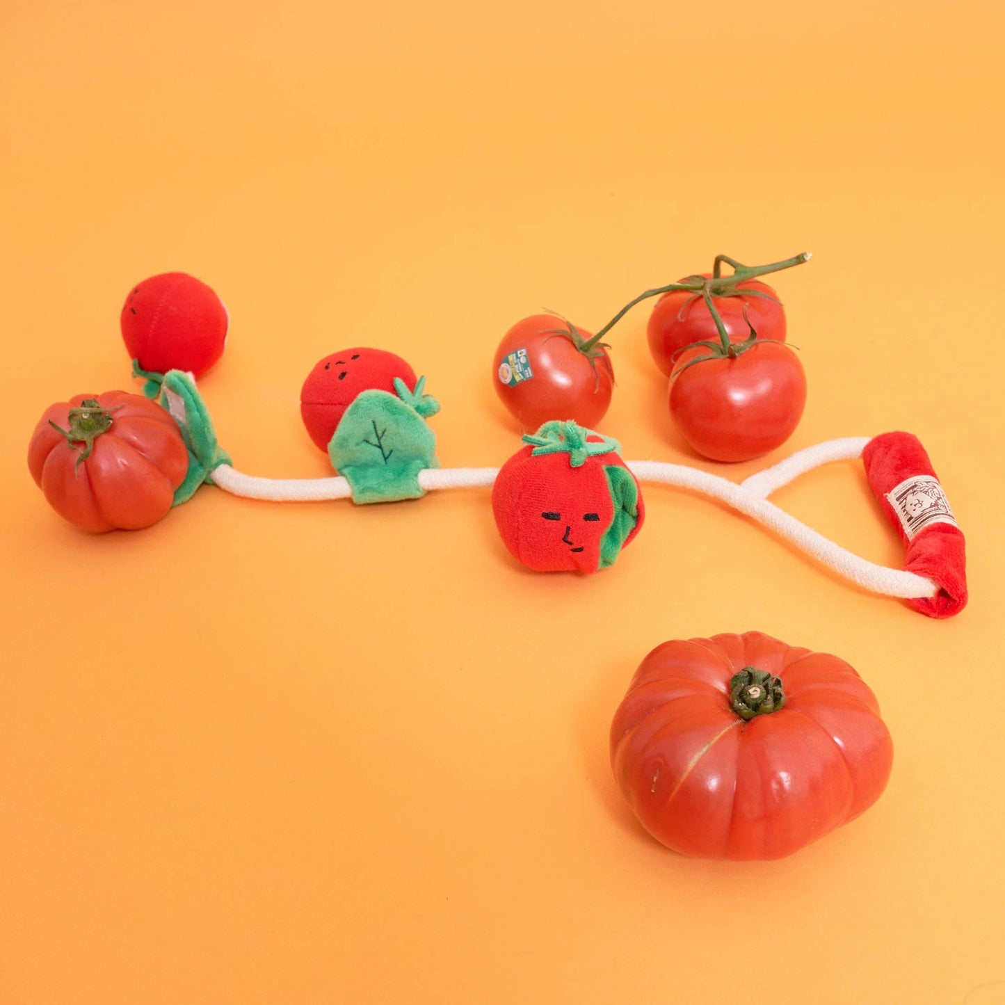 Jouet de Fouille - Tomate cerise