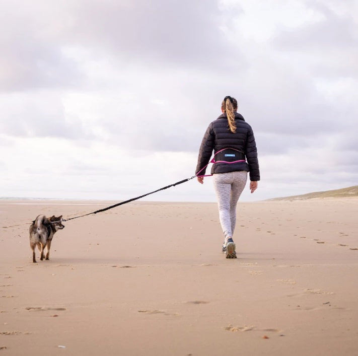 Ceinture Canicross / Canirando Trekker