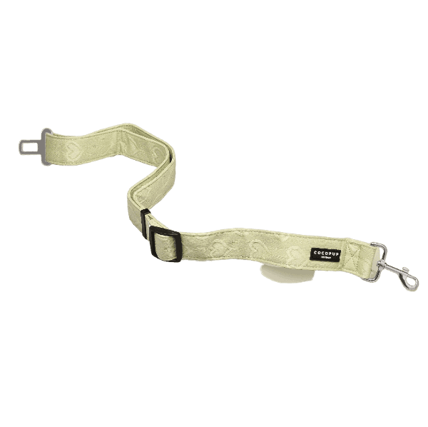 Ceinture de Sécurité Voiture