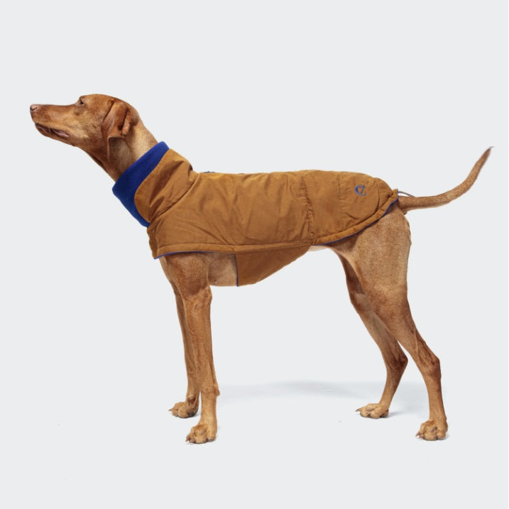 Manteau Imperméable pour Chien Cloud 7 Brooklyn Waxed Cotton