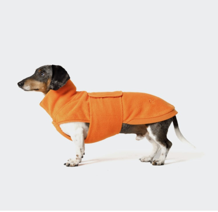 Polaire Spécial Teckel Cloud 7 - Derby