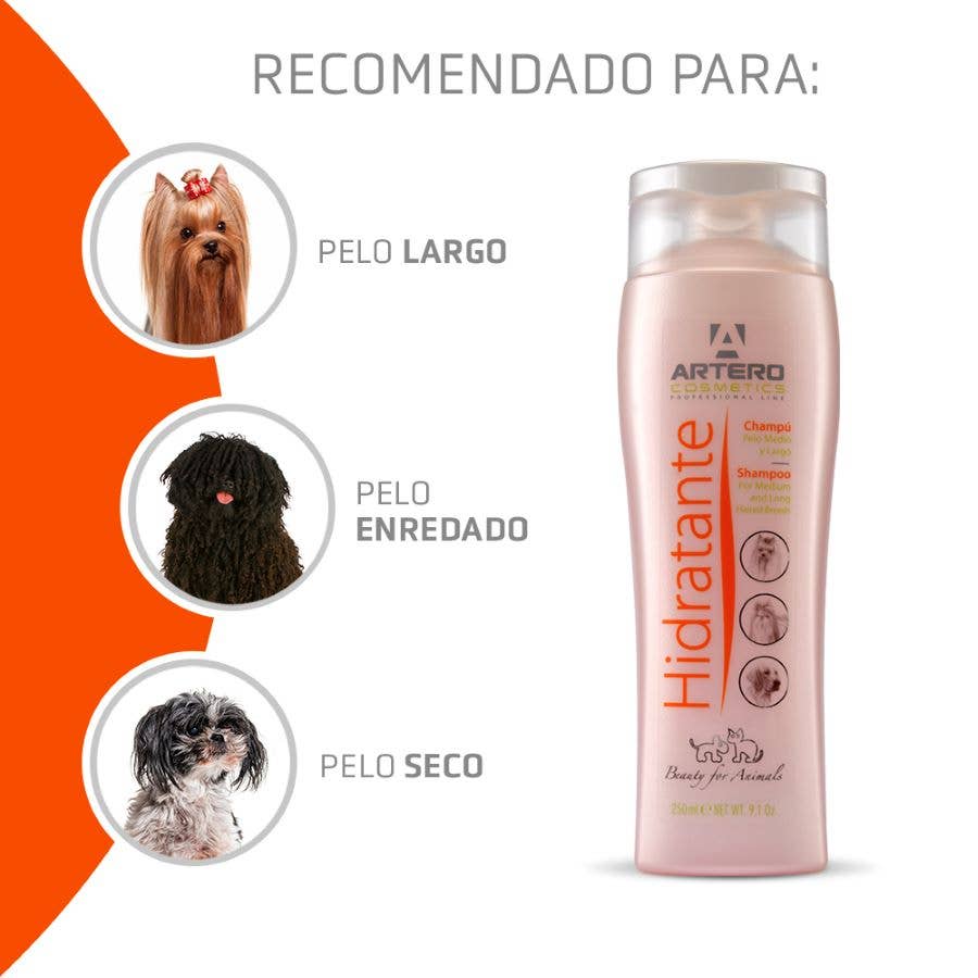 Shampoing Hydratant