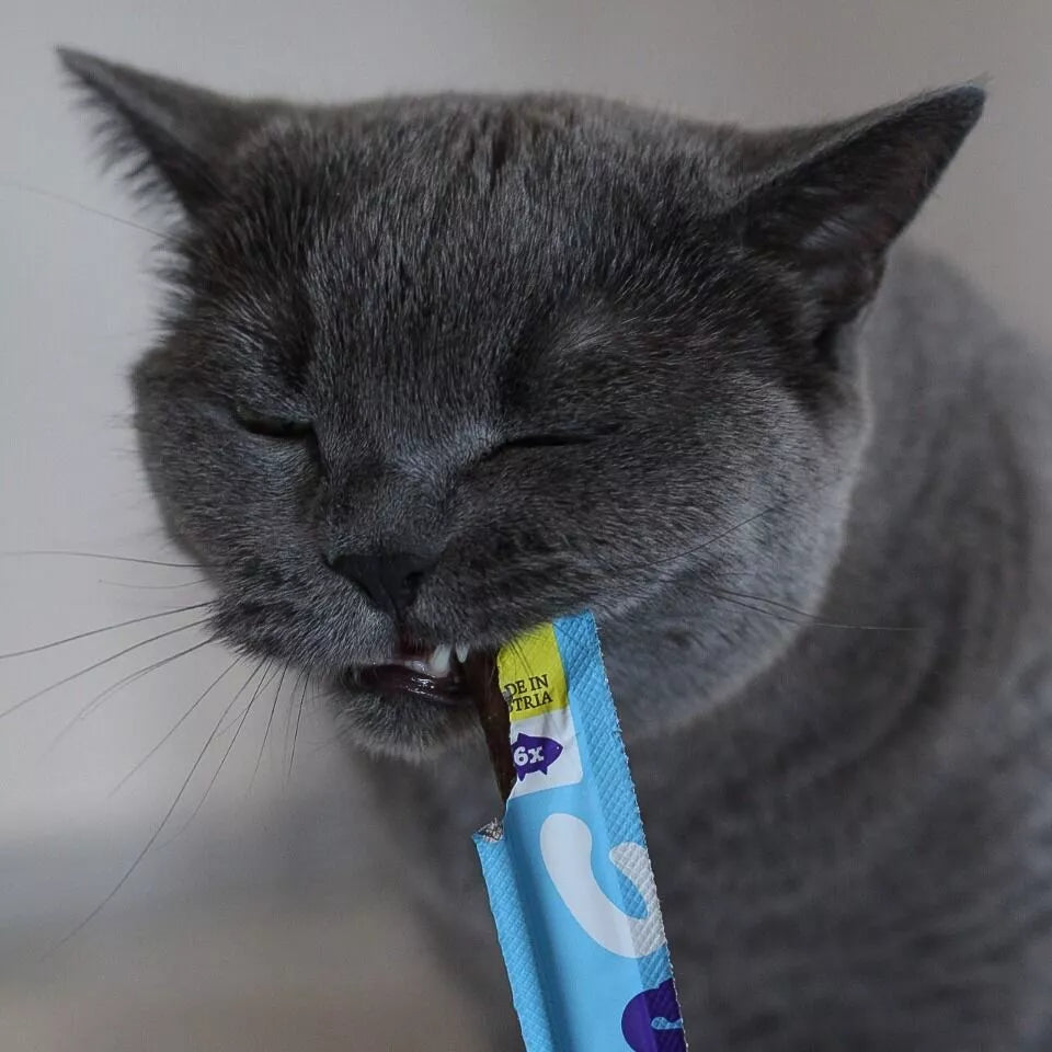 Wow stick