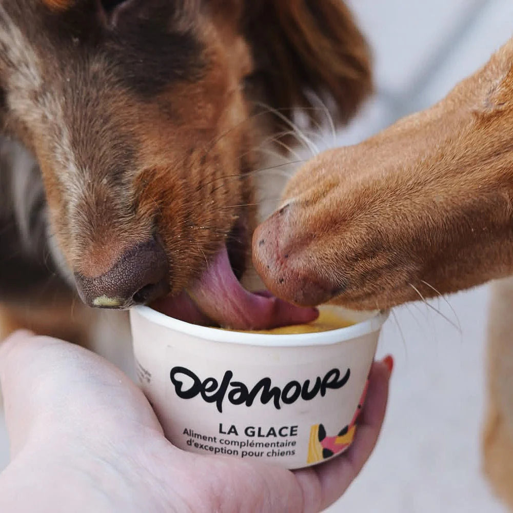 Glace la Vitaminée de Delamour
