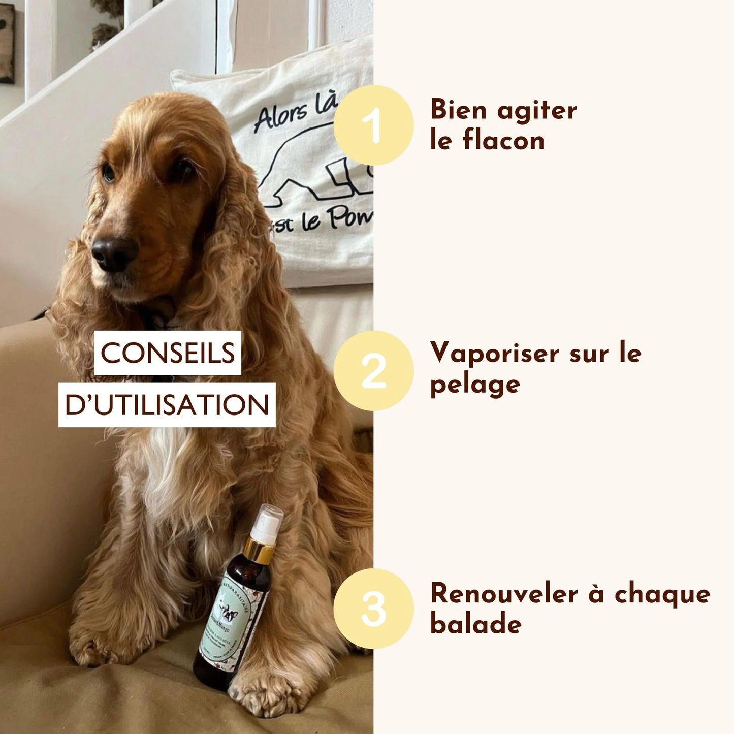 Lotion antiparasitaire, la croisière sans bête