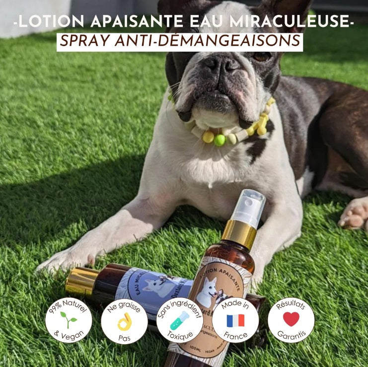 Lotion Apaisante pour Chien Eau Miraculeuse 100 mL