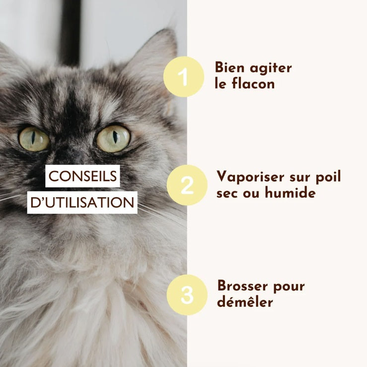 Lotion Démêlante pour Chien et Chat Rebel 200 mL