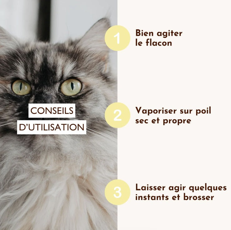 Lotion Nutri Repair pour Chien et Chat 100mL