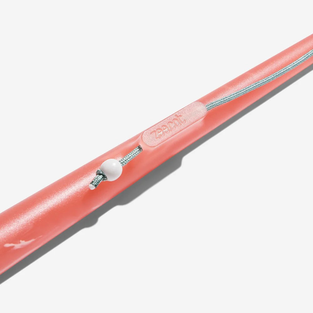 Canne à pêche chat