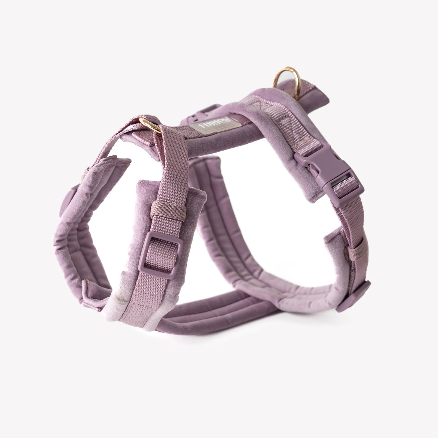 Harnais pour chien en velours