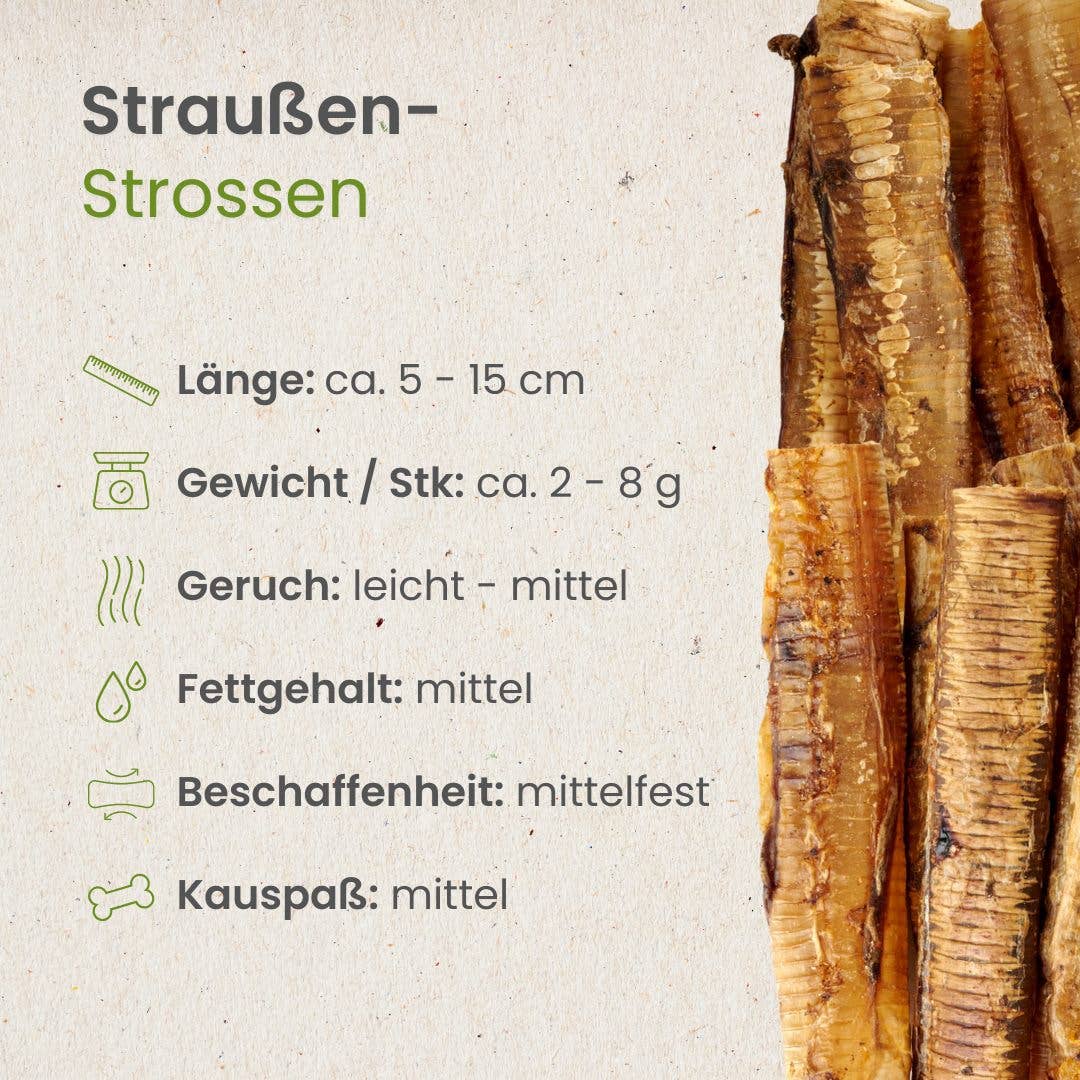 Trachées  d'autruche