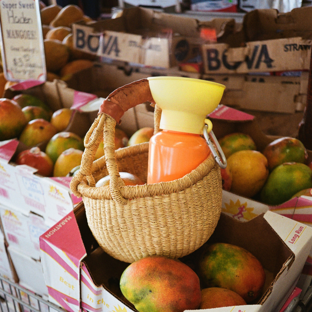 Gourde de voyage rétractable bicolore