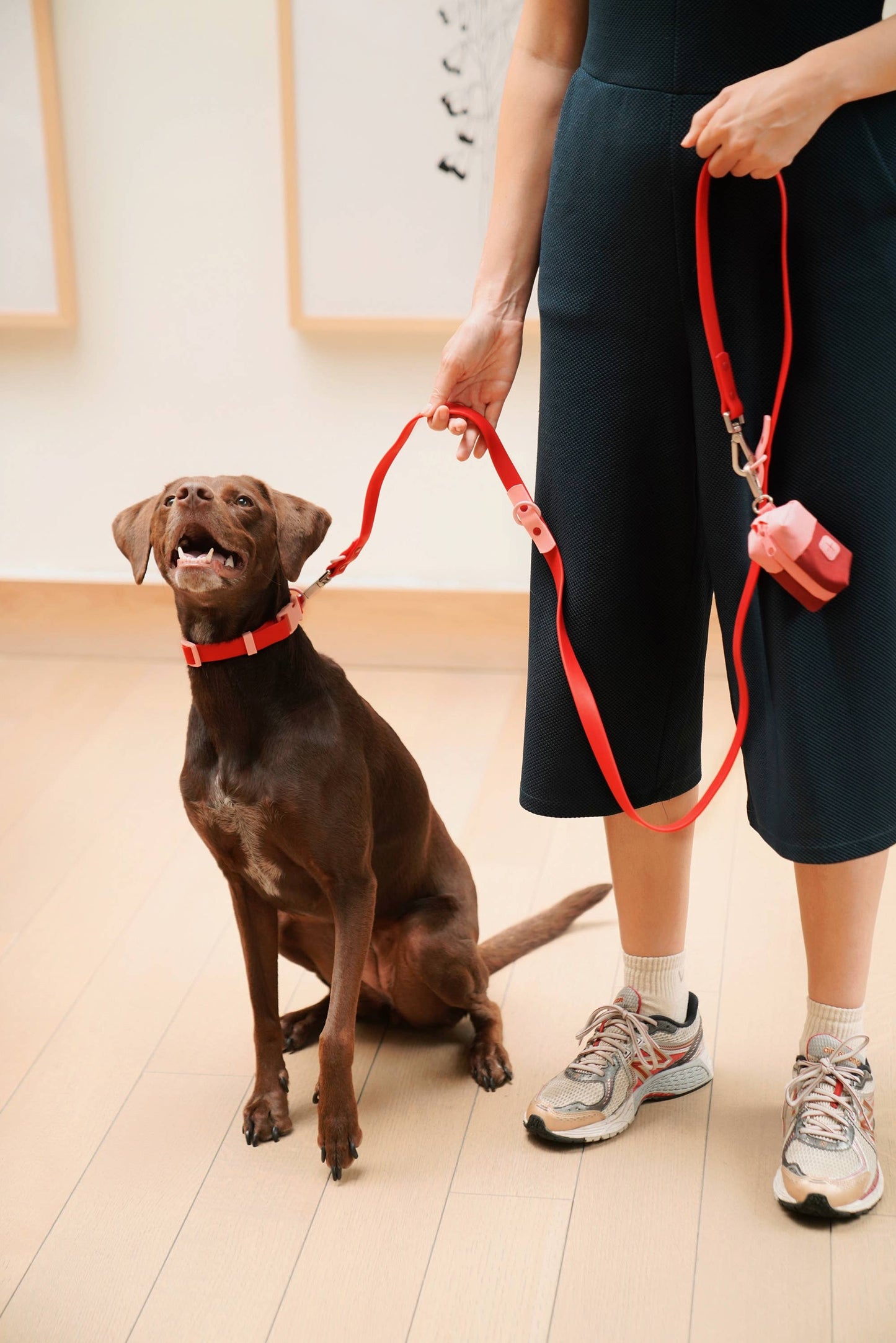 Laisse Multiposition pour Chien Imperméable