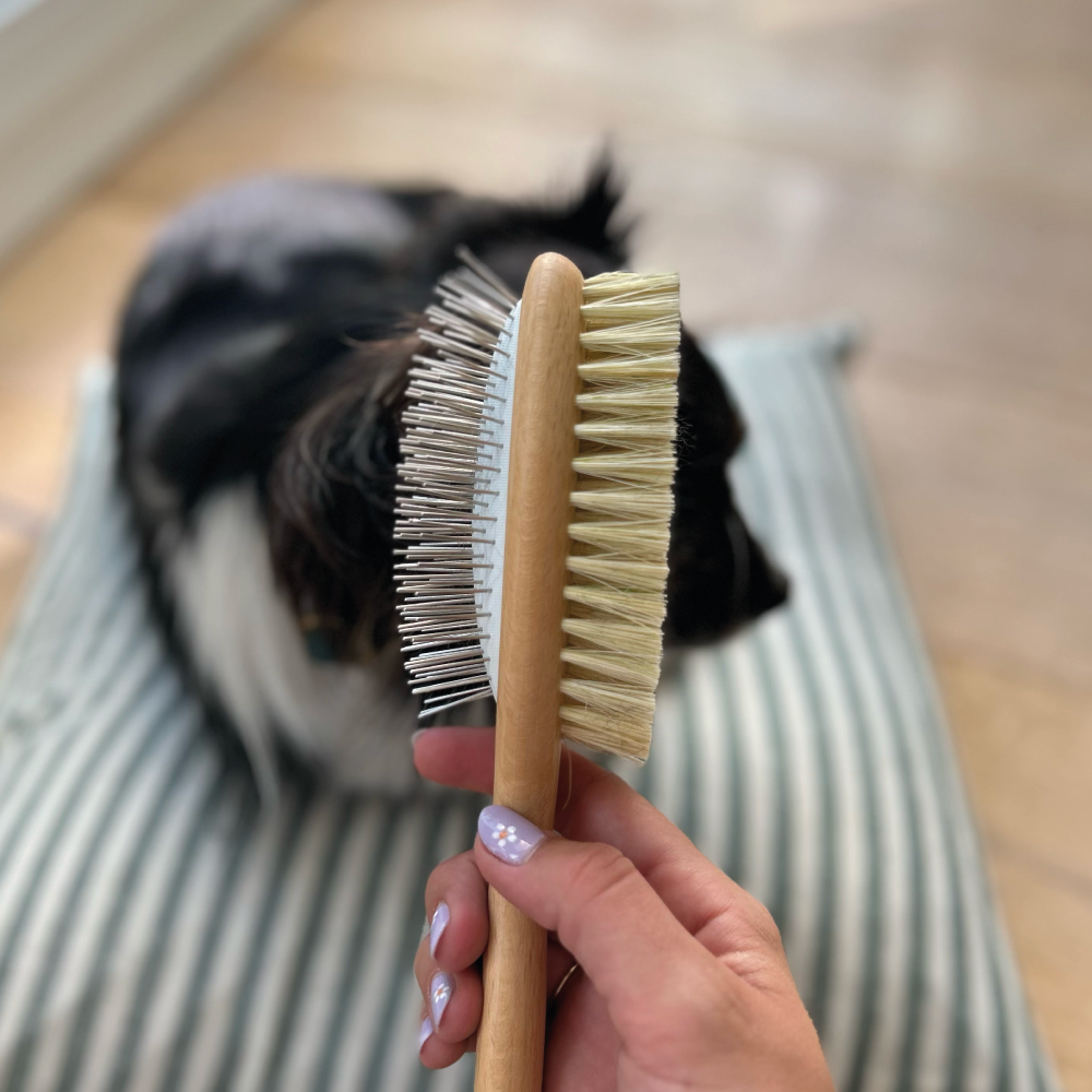 Brosse Double Face pour Chien