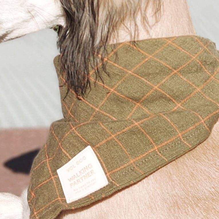 Bandana Citrouille Biscuits