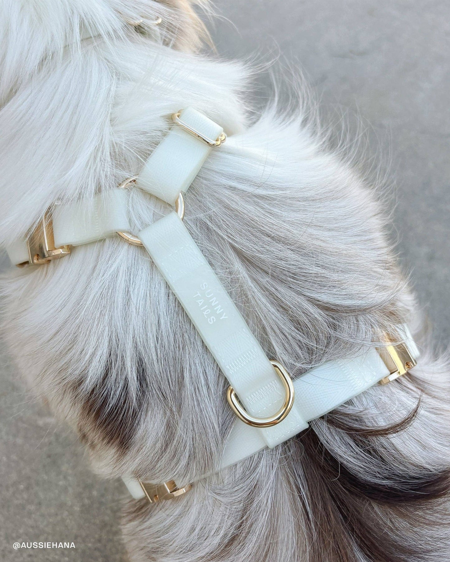 Harnais waterproof pour chien