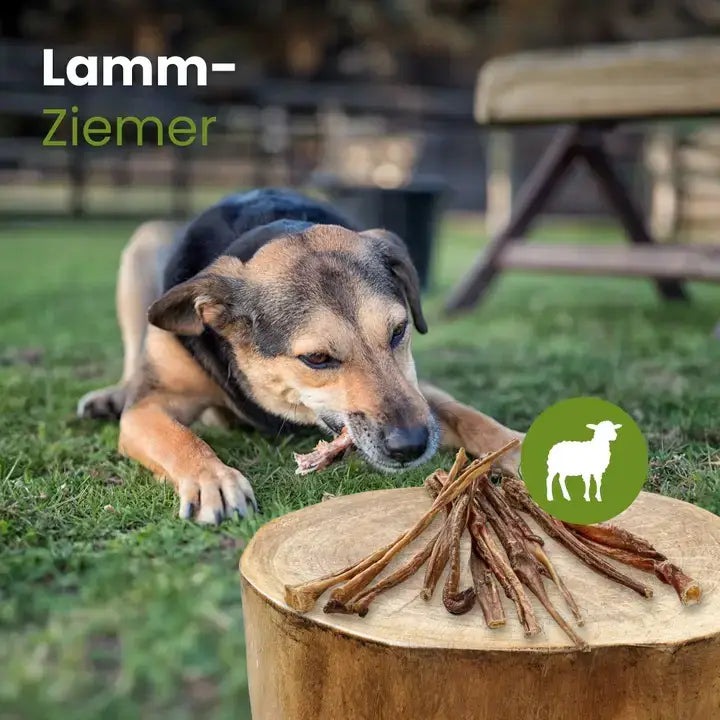 Ziemer d'agneau