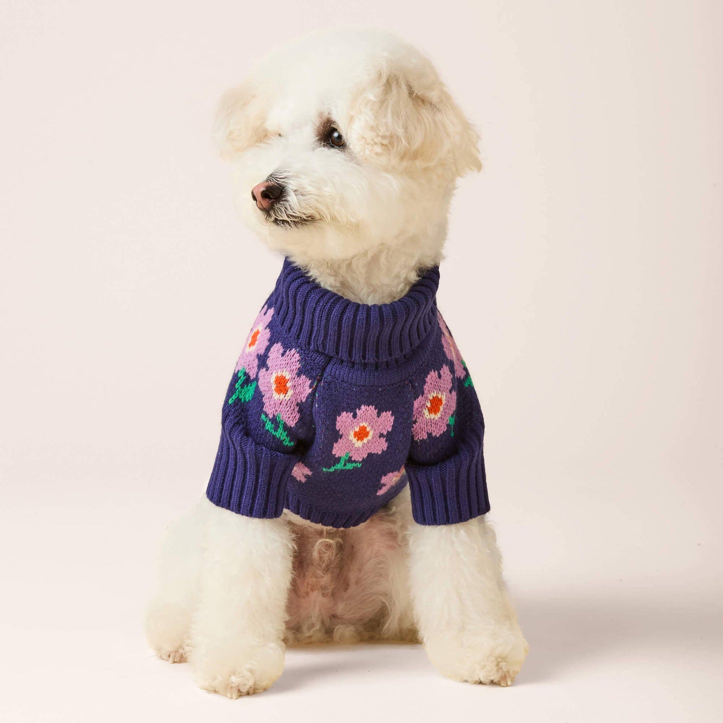Pull pour chien "Purple Posies"