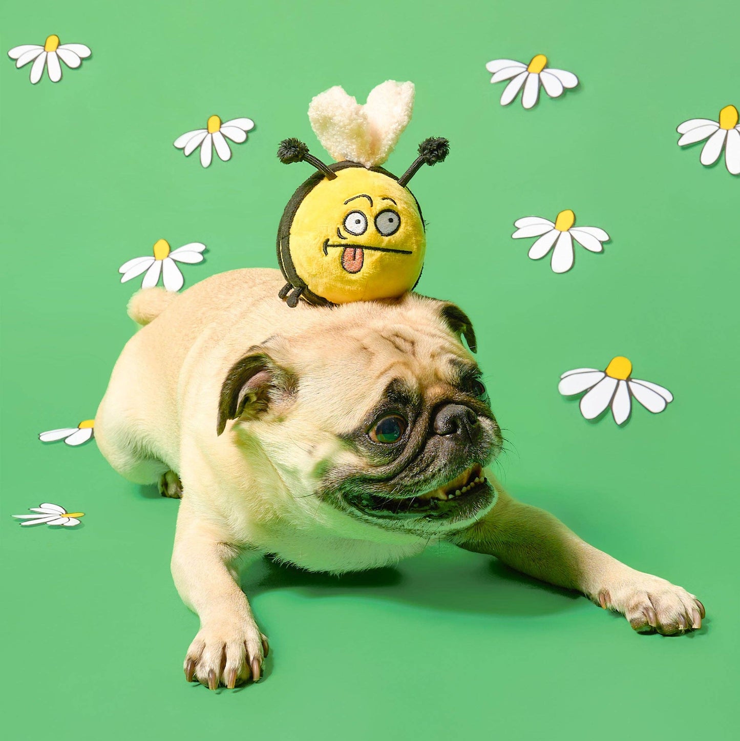 Jouet de Fouille Bee Happy
