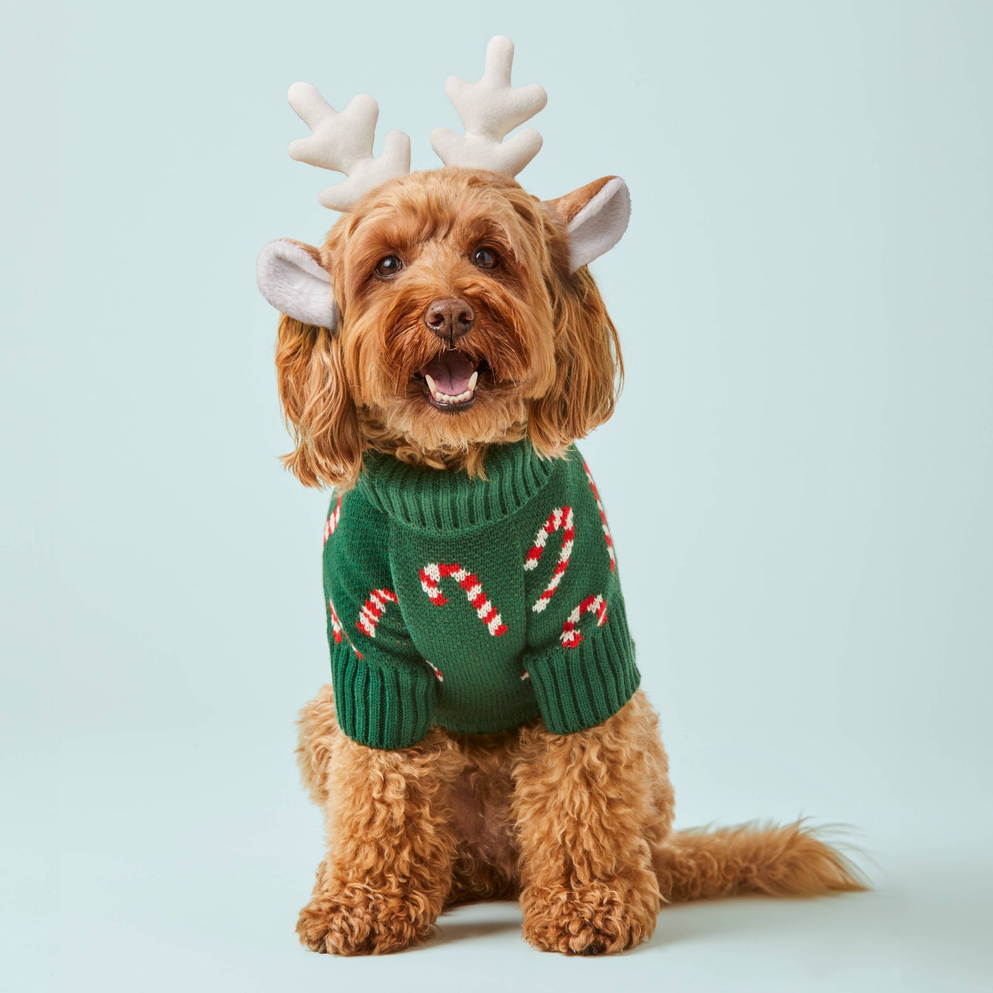 Pull Candy Canes Holiday