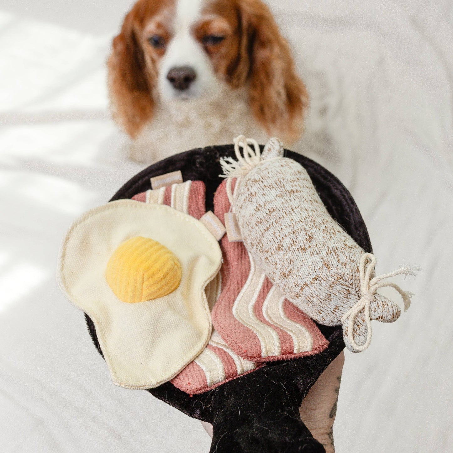 Bfast Set //JOUET D'ENRICHISSEMENT POUR CHIEN