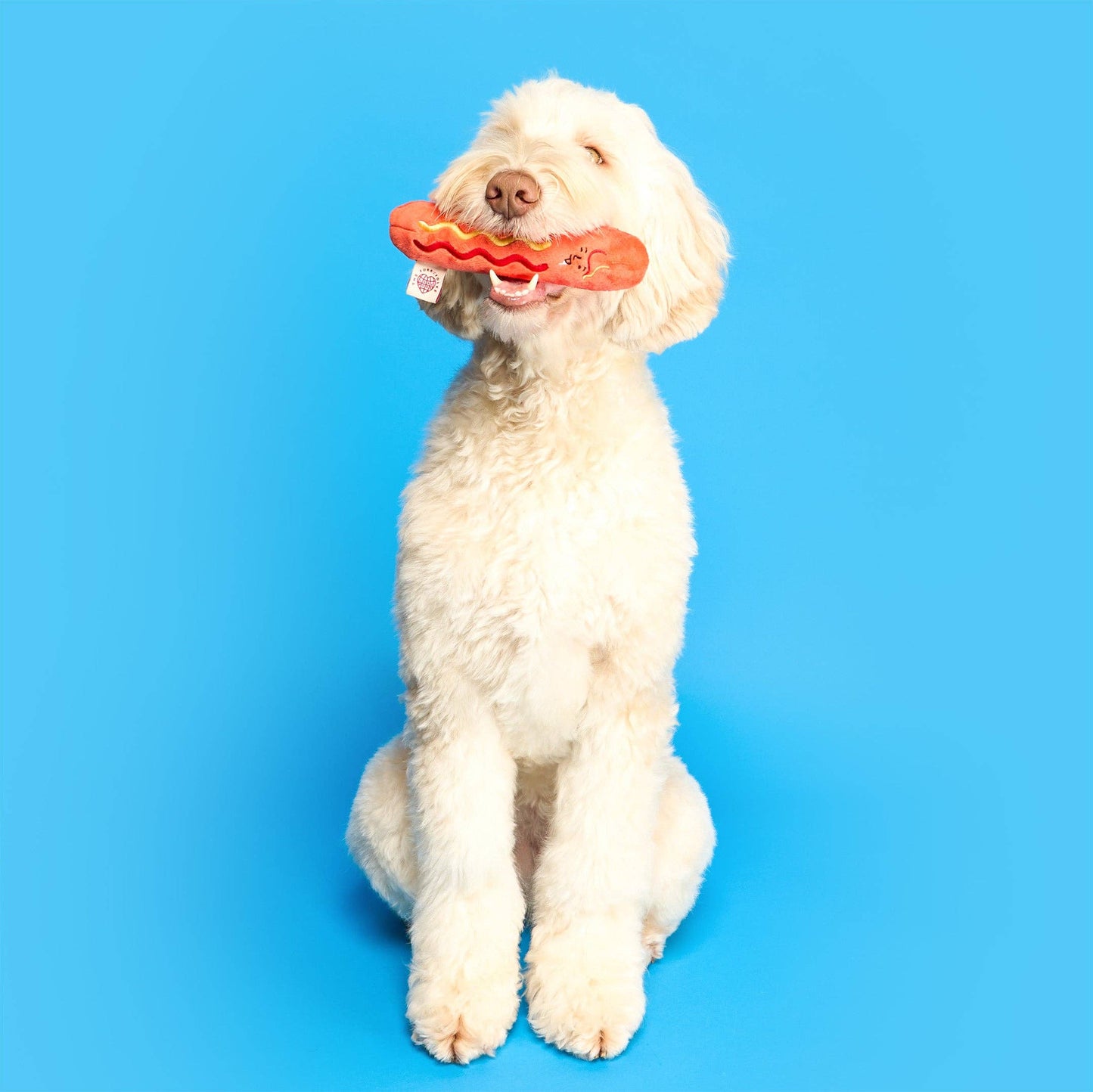 Jouet de fouille Hot Doggie