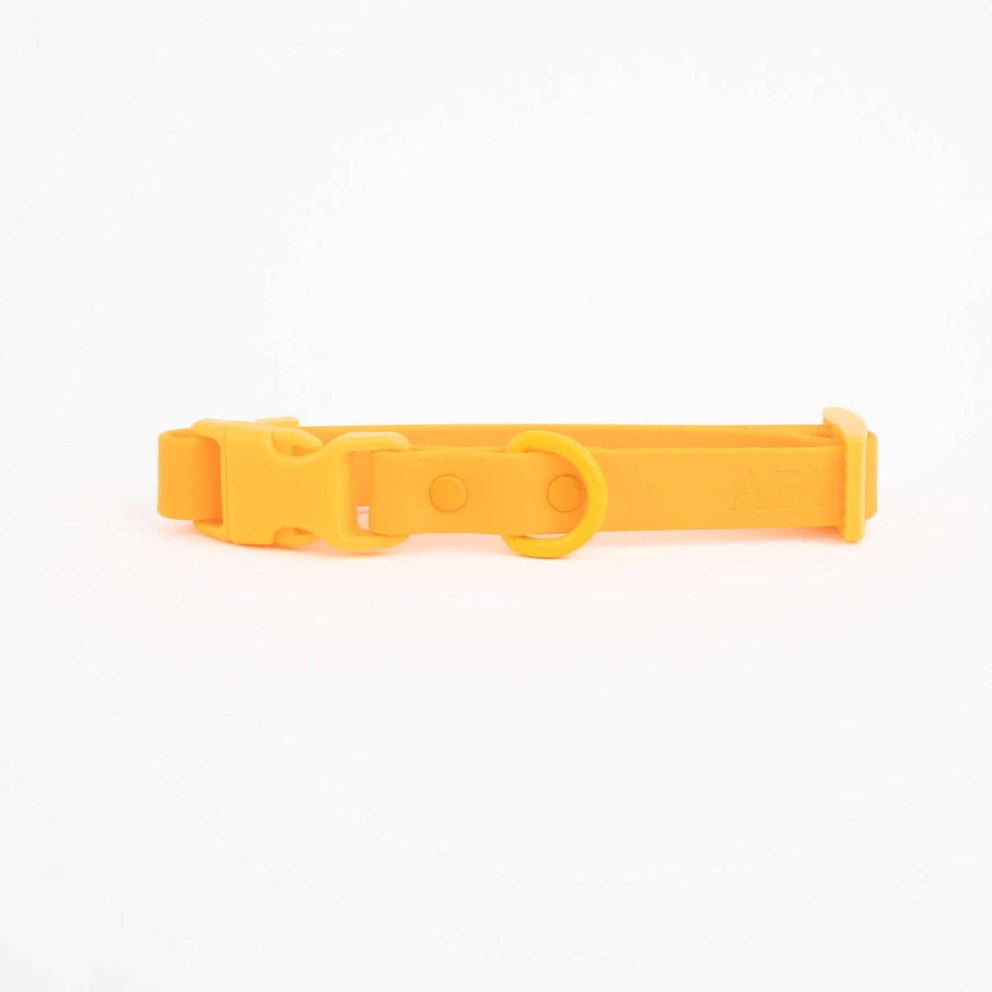 Collier pour Chien Imperméable