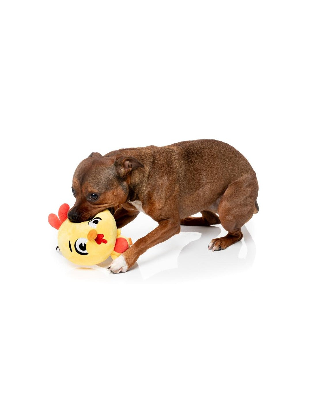 Peluche poussin