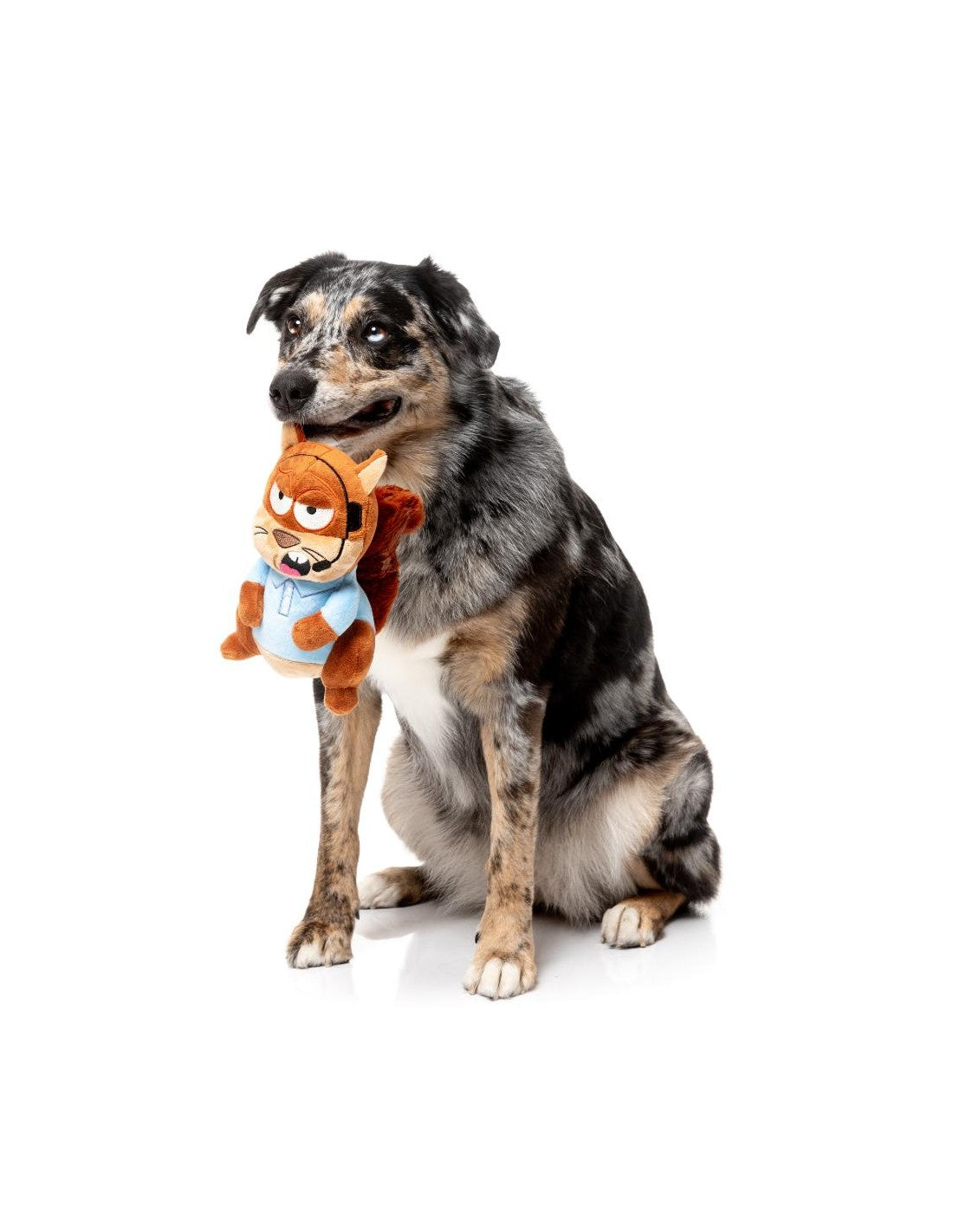 Peluche écureuil Tom