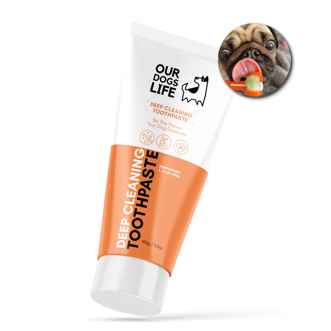 Dentifrice pour chiens