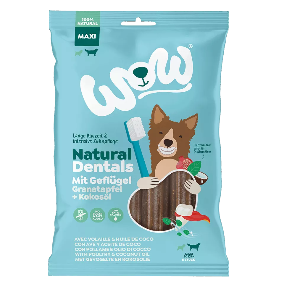 Sticks pour les dents