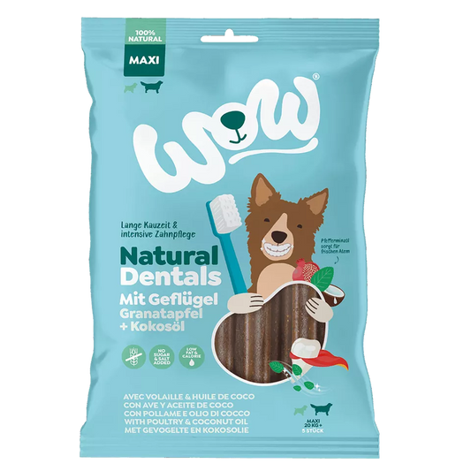 Sticks pour les dents