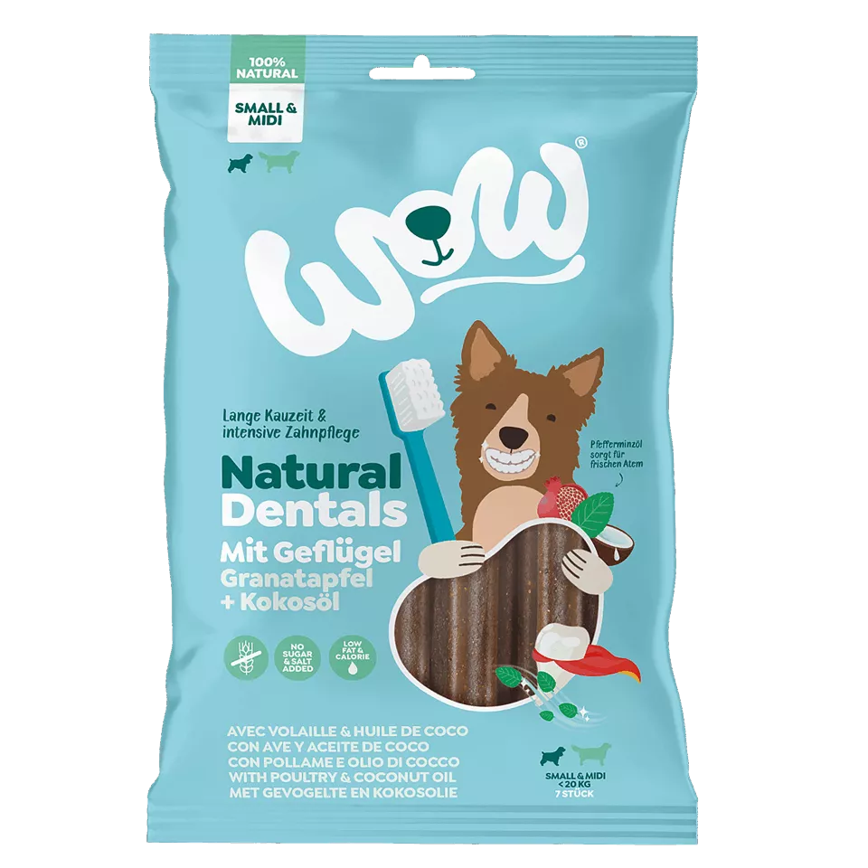 Sticks pour les dents