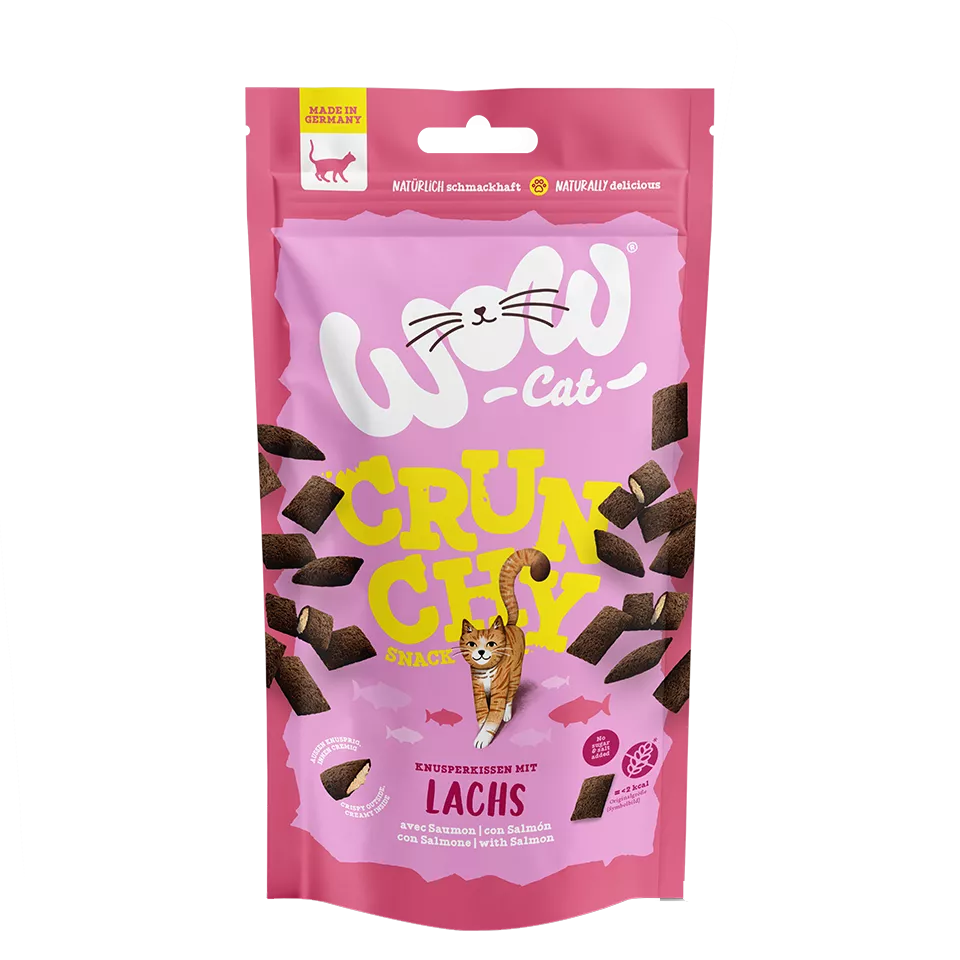 Friandises saumon pour chat