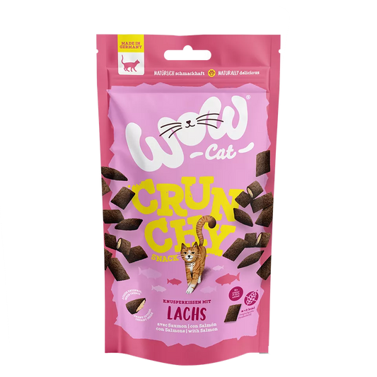 Friandises saumon pour chat