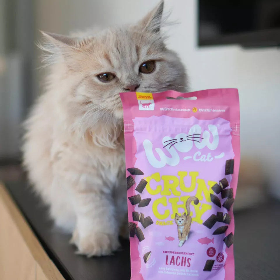 Friandises saumon pour chat